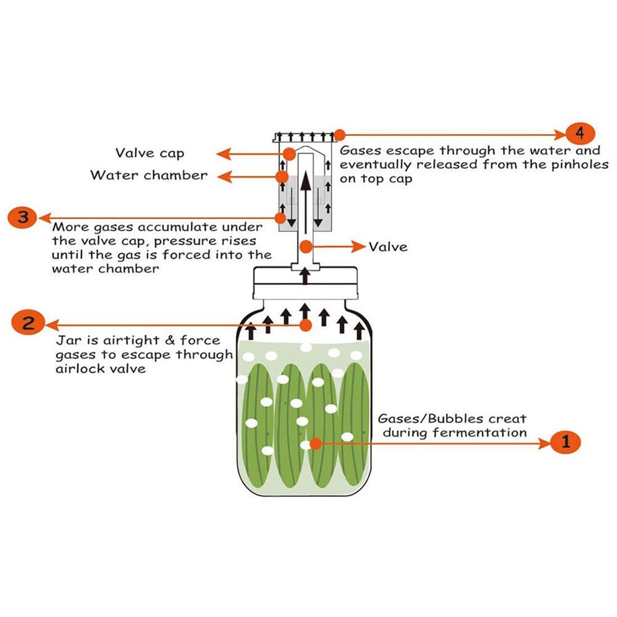 4 szt. pokrywek fermentacyjnyc – Wine Beer And More recenzja i cena
